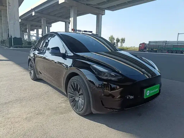 Tesla Model Y — Фото автомобиля 3