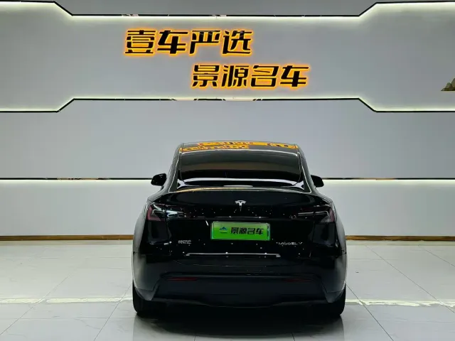 Tesla Model Y — Фото автомобиля 13