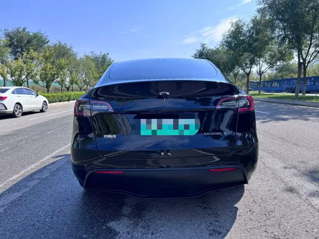 Tesla Model Y — Фото автомобиля 5