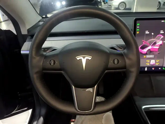 Tesla Model Y — Фото автомобиля 10