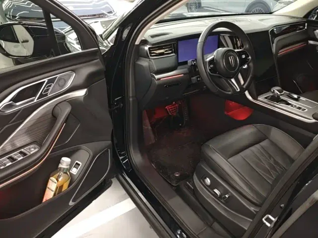 Hongqi Hongqi HS7 PHEV 2024 2.0T PHEV 4WD Flagship Edition 6-seater — Фото автомобиля 15