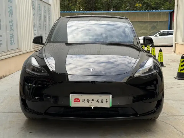 Tesla Model Y — Фото автомобиля 2