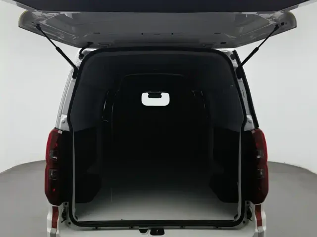 Jinbei Golden Sea Lion Classic 2023 2.0L Cargo Engineering Lion 2-seater — Фото автомобиля 16
