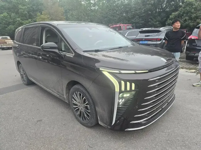 Forthing Xinghai V9 — Фото автомобиля 2