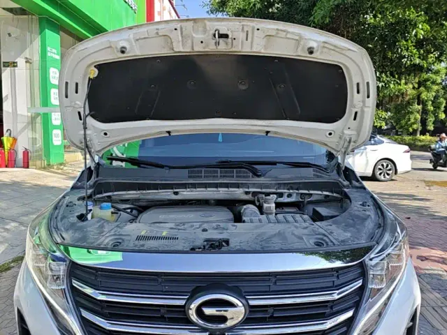 GAC Trumpchi M8 — Фото автомобиля 19