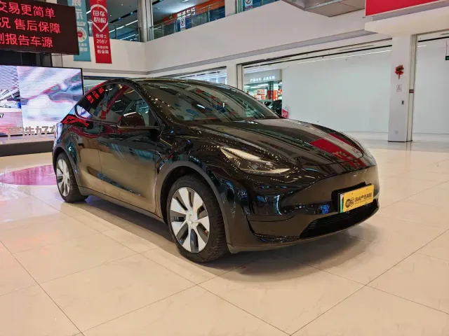 Tesla Model Y — Фото автомобиля 3