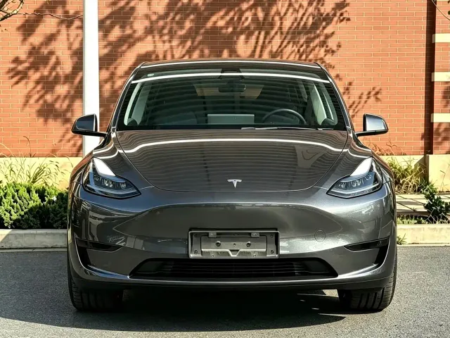 Tesla Model Y — Фото автомобиля 2