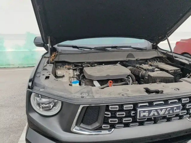 Haval Big Dog — Фото автомобиля 20