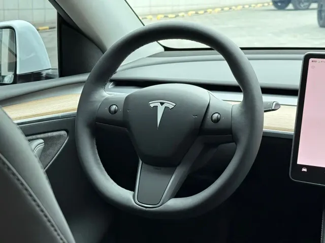 Tesla Model Y — Фото автомобиля 12