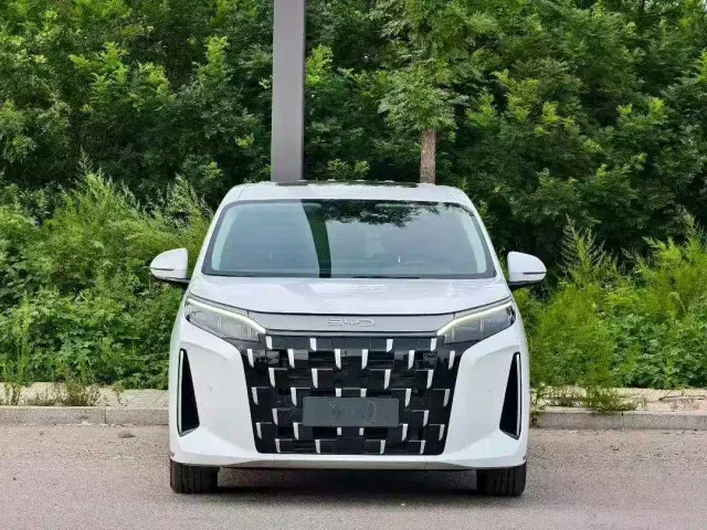 BYD M9 — Фото автомобиля 2