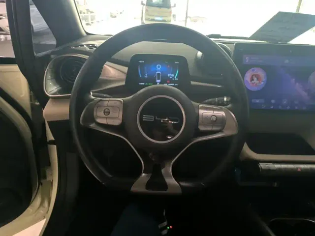 BYD Dolphin — Фото автомобиля 6
