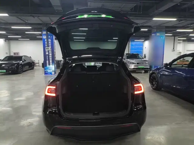 Tesla Model Y — Фото автомобиля 18