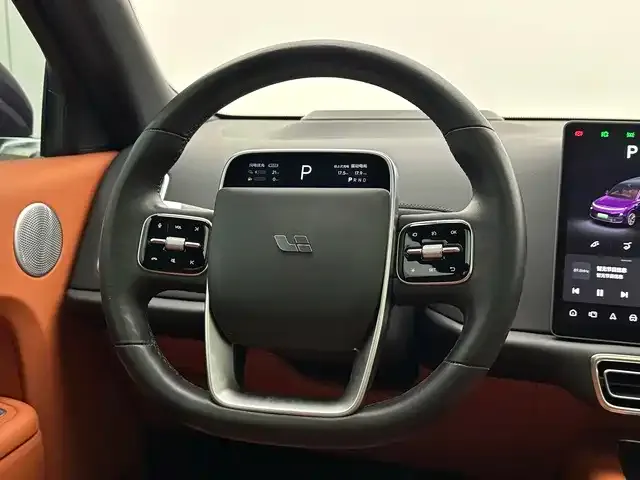 Li Auto L9 — Фото автомобиля 11