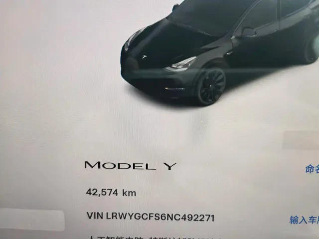 Tesla Model Y — Фото автомобиля 13