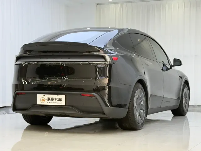 Tesla Model Y L — Фото автомобиля 14