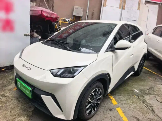 Фотография автомобиля — BYD Seagull