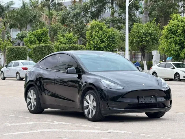 Tesla Model Y — Фото автомобиля 2