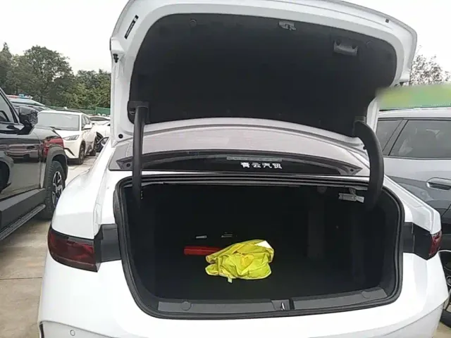 BYD Qin PLUS — Фото автомобиля 18