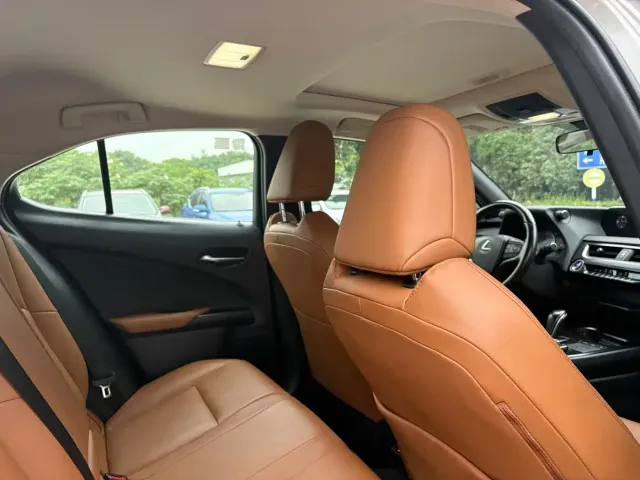Lexus Lexus UX Electric 2020 300e Pure Enjoyment Edition — Фото автомобиля 12