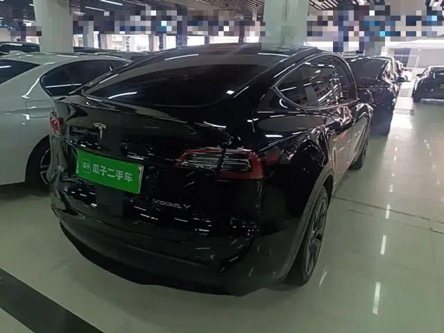 Tesla Model Y — Фото автомобиля 6