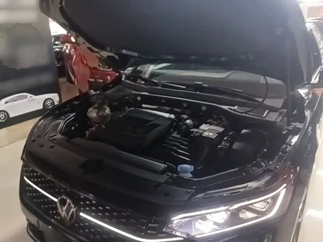 Volkswagen Passat — Фото автомобиля 19