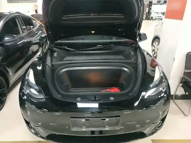 Tesla Model Y — Фото автомобиля 19