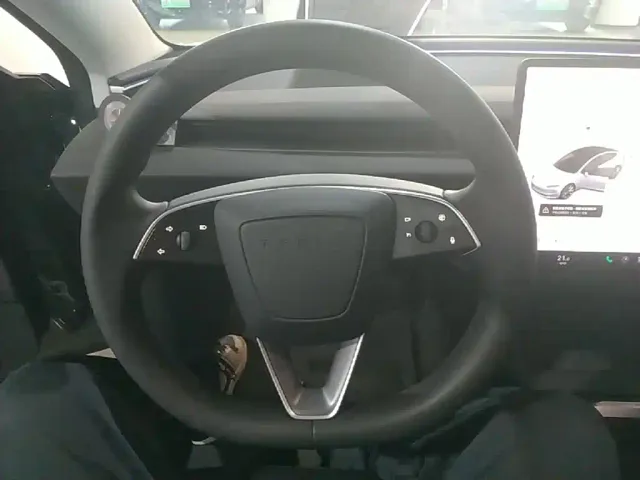 Tesla Model 3 — Фото автомобиля 10
