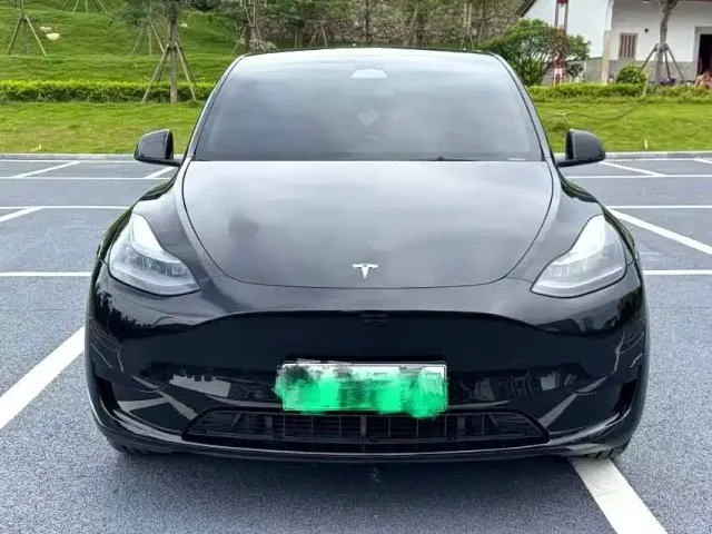 Tesla Model Y — Фото автомобиля 2