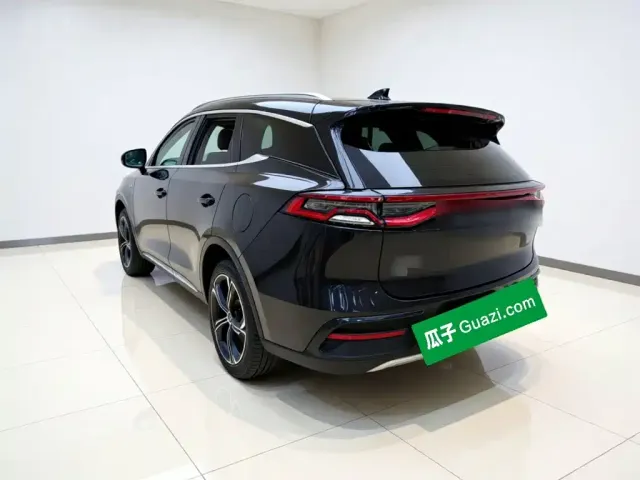 BYD Tang New Energy 2021 DM 2.0T 4WD Performance Premium — Фото автомобиля 4