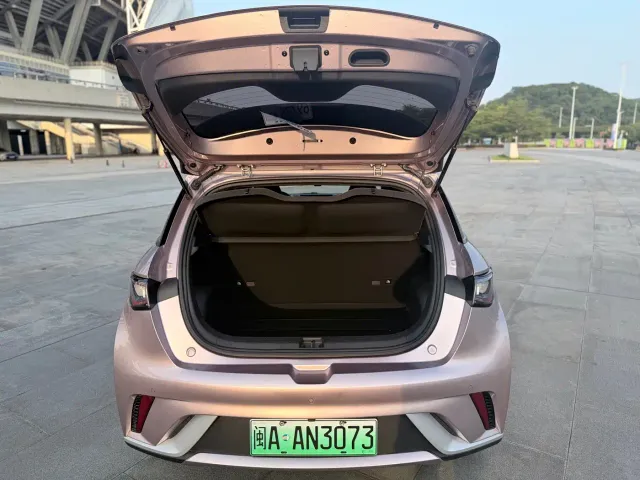 BYD Dolphin — Фото автомобиля 10