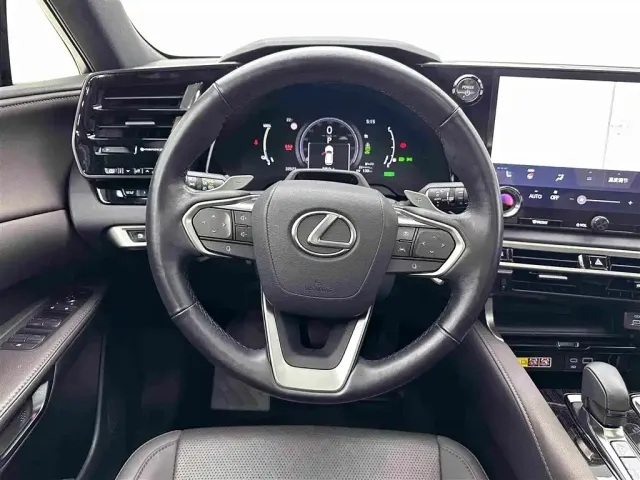 Lexus Lexus RX New Energy 2023 450h+ 4WD Enjoyment — Фото автомобиля 10