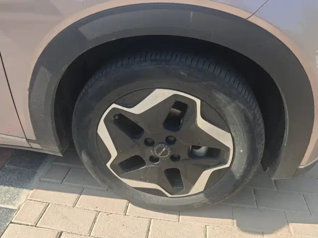 BYD Dolphin — Фото автомобиля 6