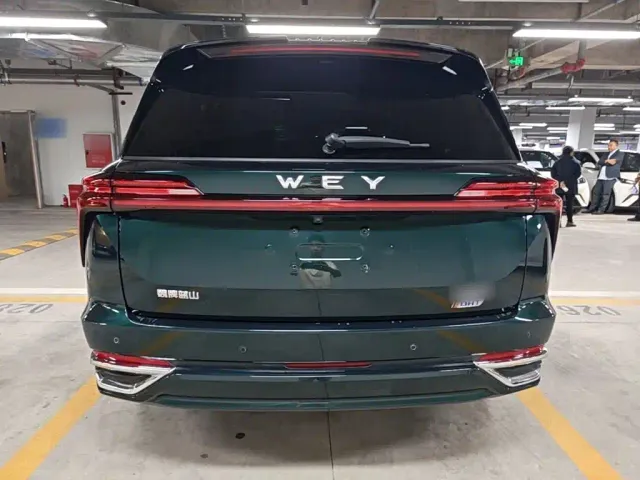 Wey Lanshan — Фото автомобиля 5