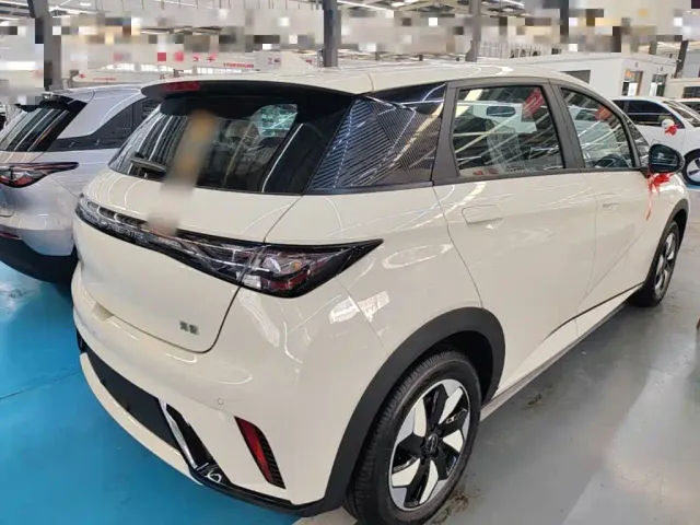 BYD Dolphin — Фото автомобиля 6