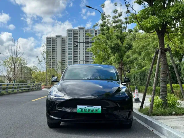 Tesla Model Y — Фото автомобиля 15