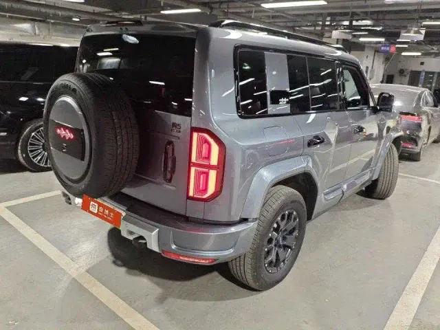 BYD FangChengBao Leopard 5 — Фото автомобиля 2