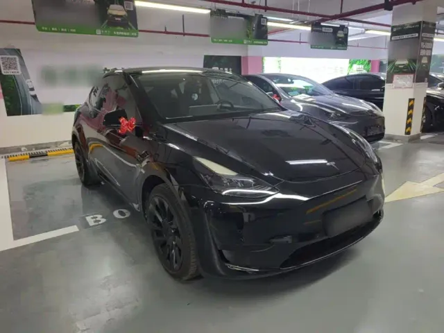 Tesla Model Y — Фото автомобиля 3