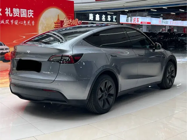 Tesla Model Y — Фото автомобиля 9