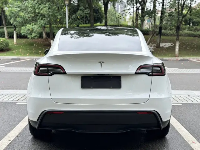 Tesla Model Y — Фото автомобиля 18