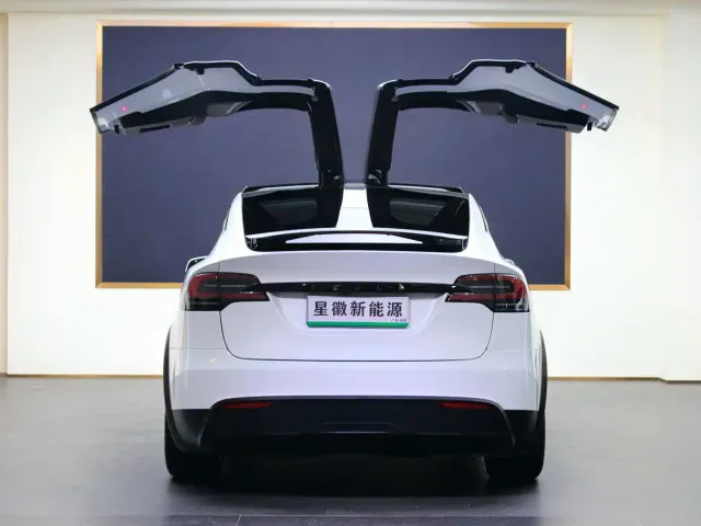Tesla Model X — Фото автомобиля 23