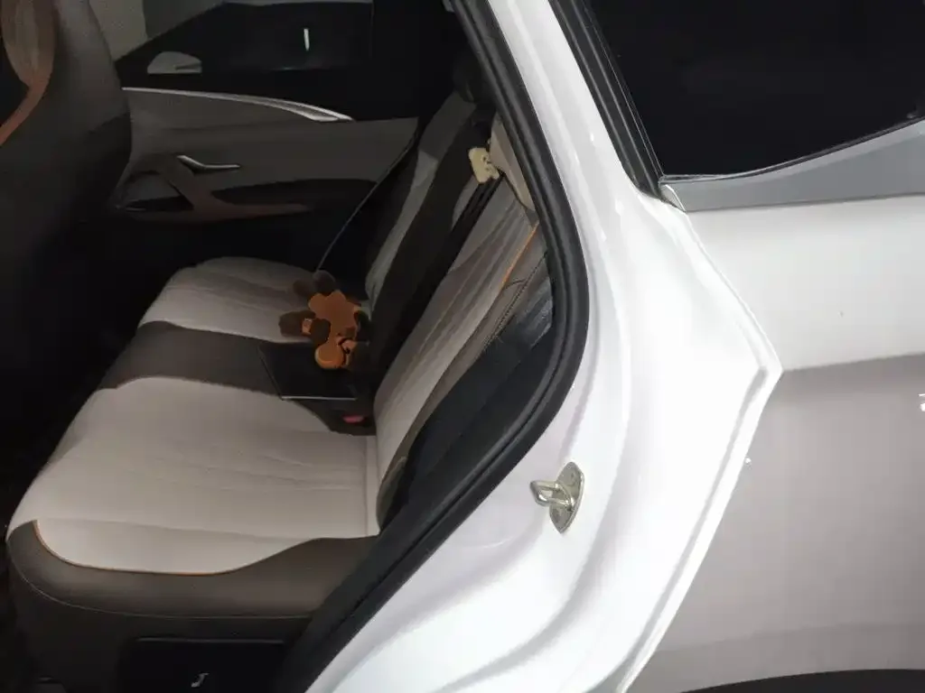 BYD Song Pro New Energy 2022 DM-i 51km Premium — Фото автомобиля 18