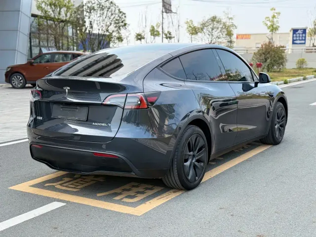 Tesla Model Y — Фото автомобиля 7