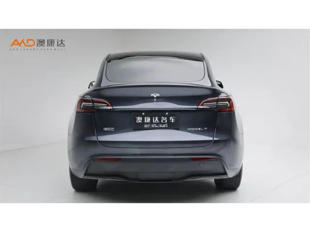 Tesla Model Y — Фото автомобиля 4