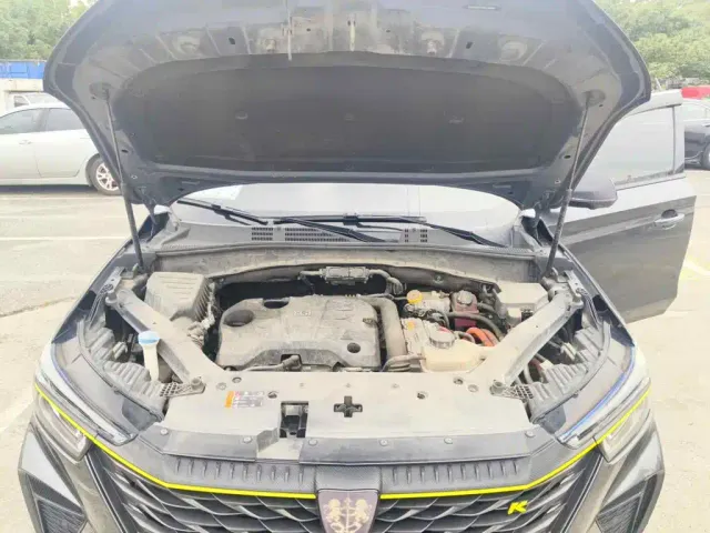 Roewe Roewe RX5 New Energy 2021 Model ePLUS National Trend Ronglin Flagship Edition — Фото автомобиля 3