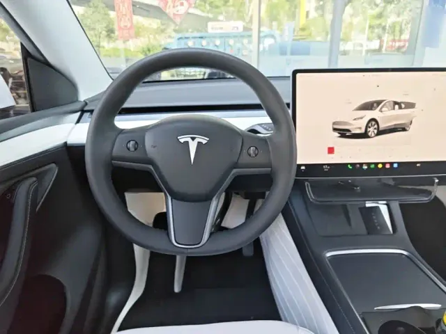 Tesla Model Y — Фото автомобиля 10