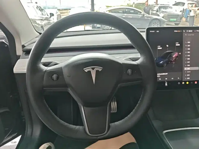 Tesla Model 3 — Фото автомобиля 10