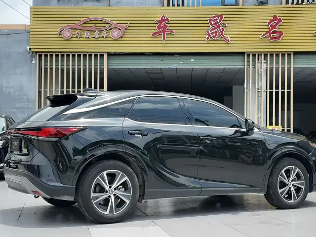 Lexus RX — Фото автомобиля 11