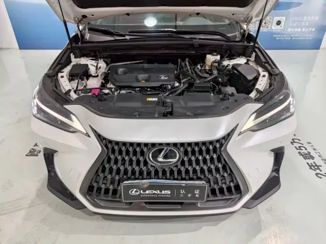 Lexus NX — Фото автомобиля 9