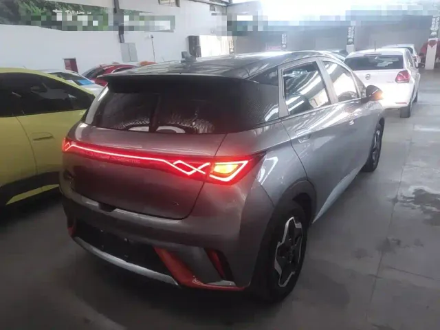 BYD Dolphin — Фото автомобиля 6