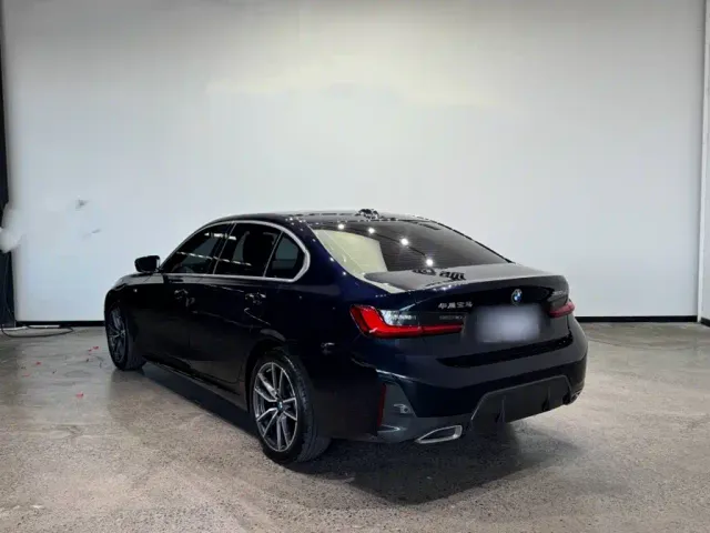 BMW 3 Series — Фото автомобиля 10